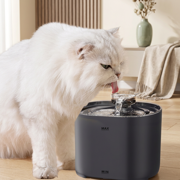 White long-haired cat drinking from the dark grey automatic circulating pet water fountain